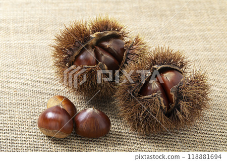 栗子和堅果放在亞麻布上 118881694