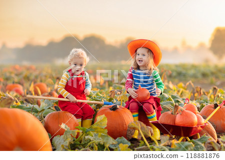 Kids picking pumpkins on Halloween pumpkin patch 118881876
