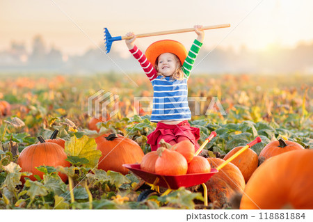 Kids picking pumpkins on Halloween pumpkin patch Kids picking pumpkins on Halloween pumpkin patch 118881884