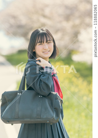 Smiling high school girls going to school in spring when cherry blossoms are blooming 118882065