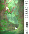 Two white birds in a mysterious forest like a fantasy world - background illustration 118882432