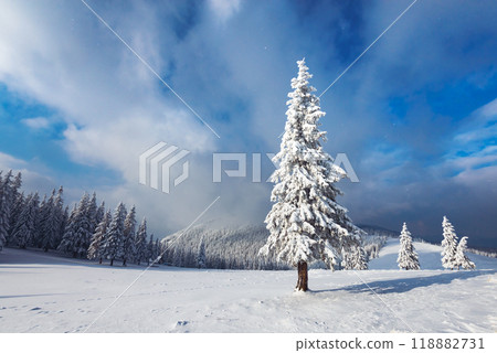Fantastic winter landscape 118882731