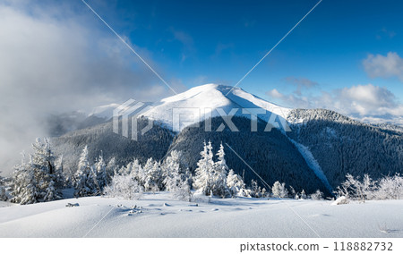 Fantastic winter landscape 118882732
