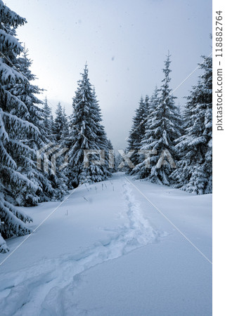 Path in the snow in winter mountains Path in the snow in winter mountains 118882764
