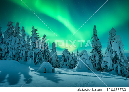 Wintry scene with glowing polar lights and snowy igloo 118882780