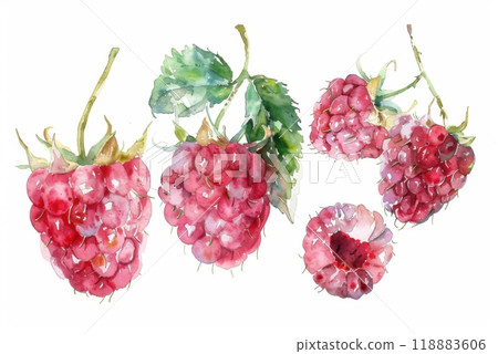 Fresh raspberries set illustrated in watercolor surrounded by green leaves. Generative AI Fresh raspberries set illustrated in watercolor surrounded by green leaves. Generative AI 118883606