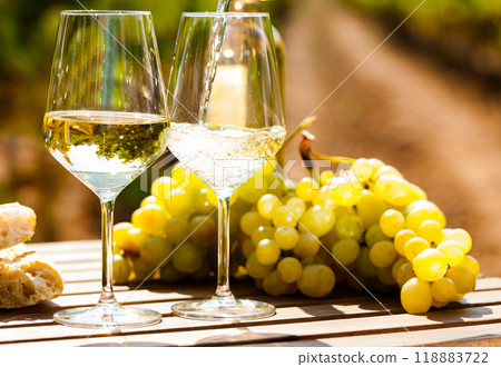 Glass of White wine ripe grapes and bread on table in vineyard 118883722
