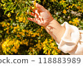 嬰兒手和黃花 118883989