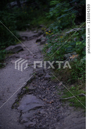 broken rock path in a forest 118884269