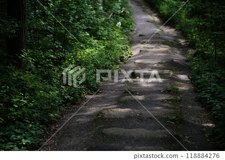 Path Picture one, Devil's lake Path Picture one, Devil's lake 118884276