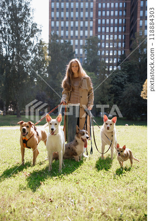 oung female dog sitter walks with dogs in park by lake. concept of friendship, pet, recreation. 118884303
