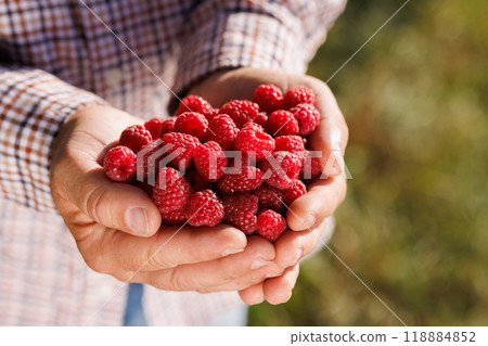 Fresh Raspberries in Hands 118884852