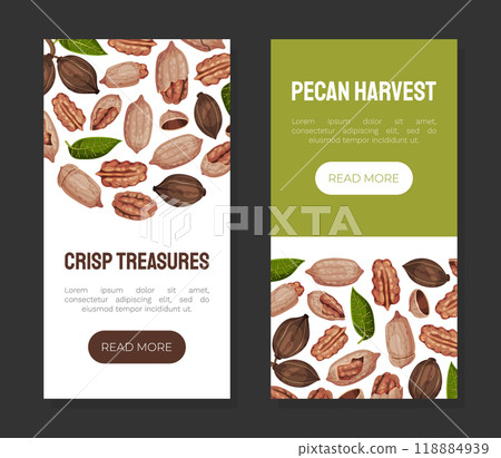 Pecan Nut Banner Design with Kernel and Shell Vector Template 118884939