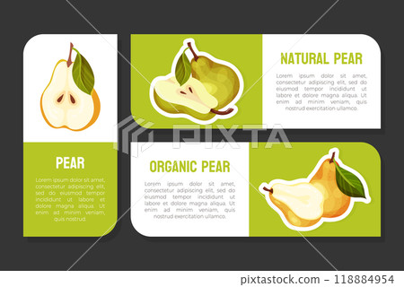 Fresh Pear Fruit Label Design with Garden Crop Vector Template 118884954