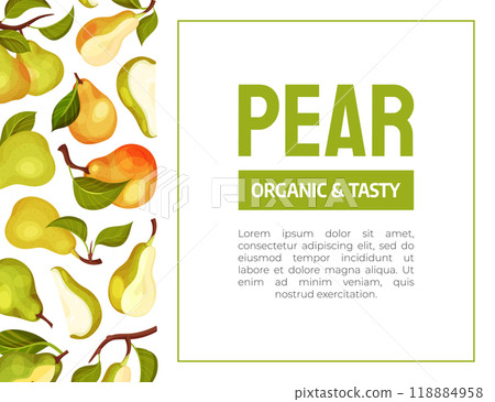 Fresh Pear Fruit Banner Design with Garden Crop Vector Template 118884958