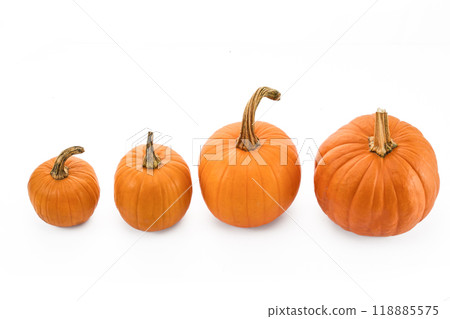 Four orange pumpkins in ascending size order against a white background Four orange pumpkins in ascending size order against a white background 118885575