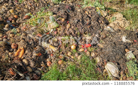 Compost pile made of organic vegetable and fruit waste mix. Compost pile made of organic vegetable and fruit waste mix. 118885576