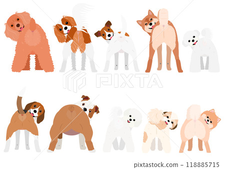 Small dog, laughing, looking back, set Small dog, laughing, looking back, set 118885715