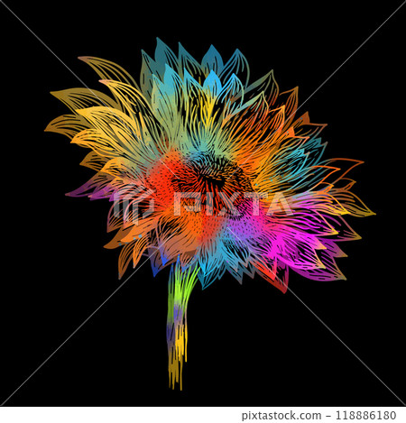 One colored sunflower on a black background. hand drawing. Not AI, Vector illustration One colored sunflower on a black background. hand drawing. Not AI, Vector illustration 118886180