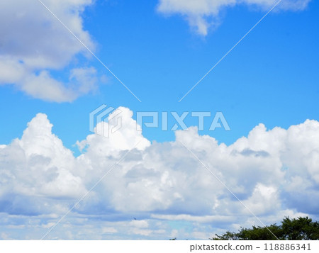 夏日的天空 夏日的天空 118886341