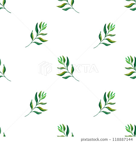 Botanical leaf. Simple seamless pattern of a plant painted with watercolor on a transparent background. For your design Botanical leaf. Simple seamless pattern of a plant painted with watercolor on a transparent background. For your design 118887144