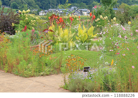 Ikeda Town Herb Station Flower and Herb Garden 118888226