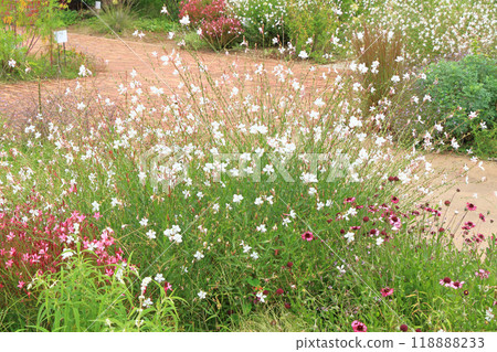 Ikeda Town Herb Station Flower and Herb Garden Ikeda Town Herb Station Flower and Herb Garden 118888233