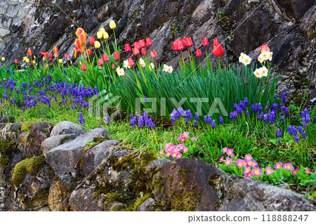 Flowers blooming on the stone walls 118888247