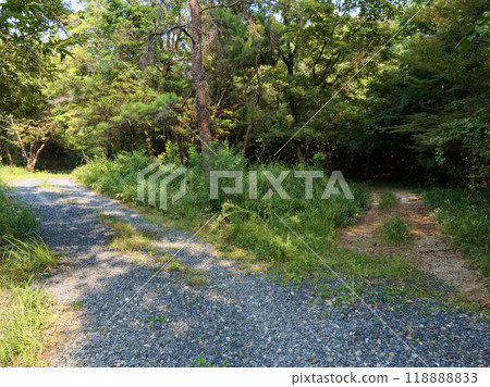 愛知縣立森林公園散步道 118888833