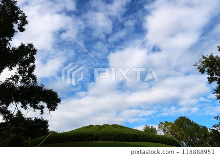 藍天白雲，平靜的秋景 118888951