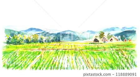 Landscape of rice fields in the countryside painted in watercolor 118889091