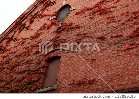 紅磚牆和常春藤秋葉 118889196