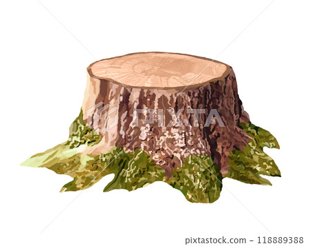 Stump (withered stump) with moss 118889388