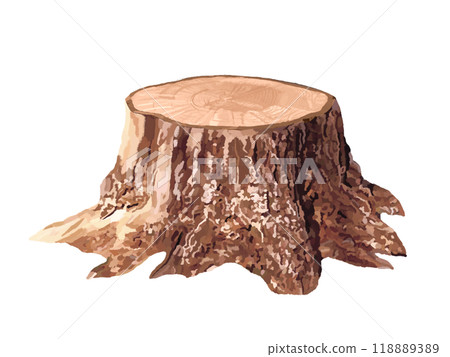Stump (dead stump) 118889389