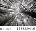Mt. Buko, Chichibu City, Saitama Prefecture, hiking trail in the mist 118889416