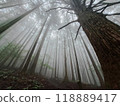 Chichibu City, Mt. Buko hiking trail in the fog 118889417