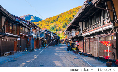 Nara Inui in autumn 118889610