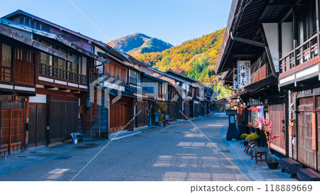 Nara Inui in autumn 118889669