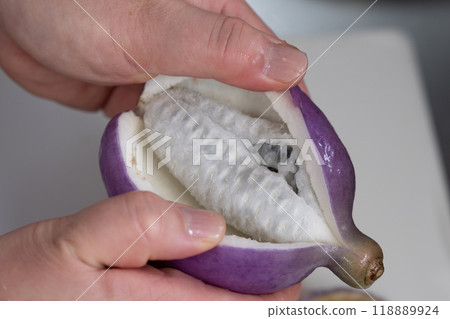 The cooking process for Yamagata's local dish, Akebia stuffed with meat and miso - Opening the skin and removing the seeds The cooking process for Yamagata's local dish, Akebia stuffed with meat and miso - Opening the skin and removing the seeds 118889924