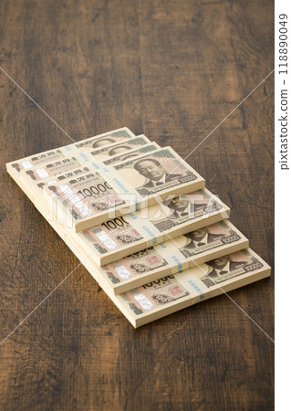 紙幣（新紙幣） 118890049