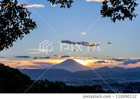 從弘法山公園看到的富士山(神奈川縣秦野市) 從弘法山公園看到的富士山(神奈川縣秦野市) 118890112