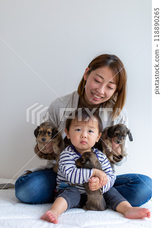 家庭照片小狗 Kaninhen 臘腸犬 家庭照片小狗 Kaninhen 臘腸犬 118890265