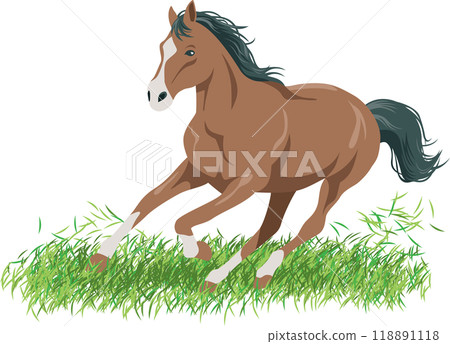 Illustration of a horse running swiftly across the grass Illustration of a horse running swiftly across the grass 118891118