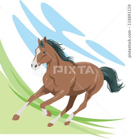 一匹馬在草地上瀟灑奔跑的圖像插圖 118891119