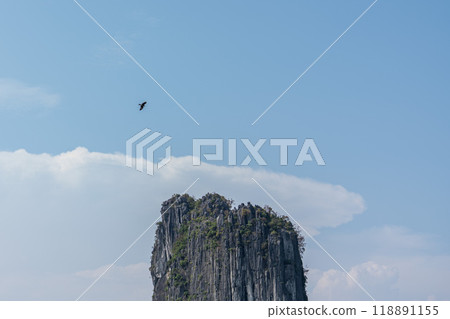 Eagles fly over the top of an island in Halong Bay 118891155