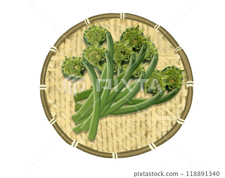 Kogomi (10 pieces) with colander 118891340