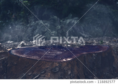 Tree stump sits in a forest with a dark and scary atmosphere. The stump is surrounded by plants. Dramatic smoke or fog effect. Mockup. Copy Space Tree stump sits in a forest with a dark and scary atmosphere. The stump is surrounded by plants. Dramatic smoke or fog effect. Mockup. Copy Space 118892577