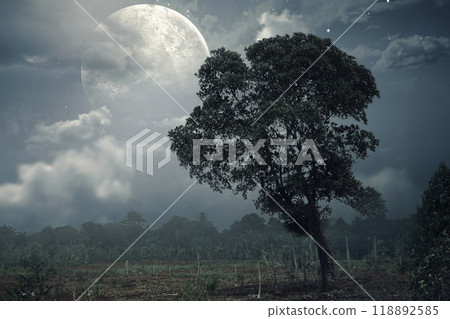A lone tree stands in a field, illuminated by the light of a full moon. Sky is dark and cloudy. Scene is scary and mysterious 118892585