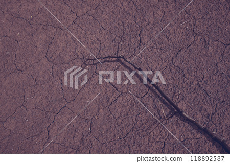 A tree branch is in the dirt. The dirt is brown and has cracks in it. The branch is long and thin. Scene is scary and mysterious 118892587