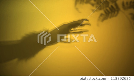 Shade of werewolf hands with fur and black claws on a yellow background. The hand is reaching out, and the shadow is dark. Scary claw of werewolf, wolfman, or animal monster Shade of werewolf hands with fur and black claws on a yellow background. The hand is reaching out, and the shadow is dark. Scary claw of werewolf, wolfman, or animal monster 118892625